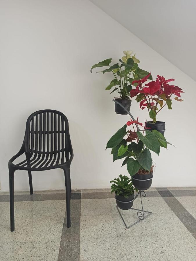 Hotel Boutique Estadio 麦德林 外观 照片